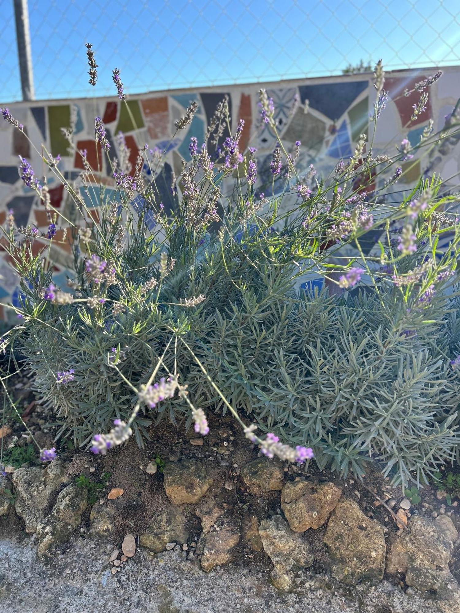 Finca Malata Turís 외부 사진