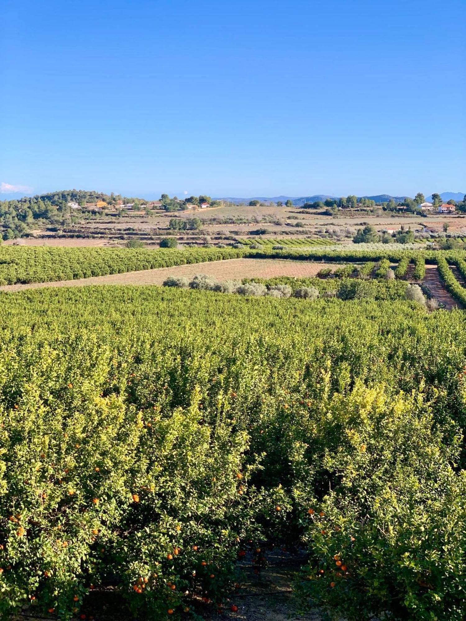 Finca Malata Turís 외부 사진